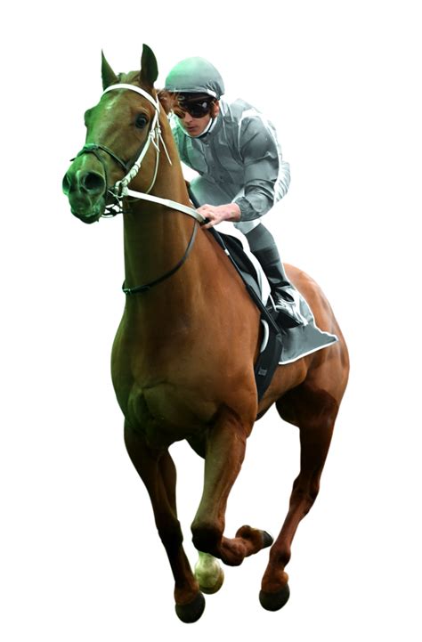 Today's Harness Racing Betting Odds .